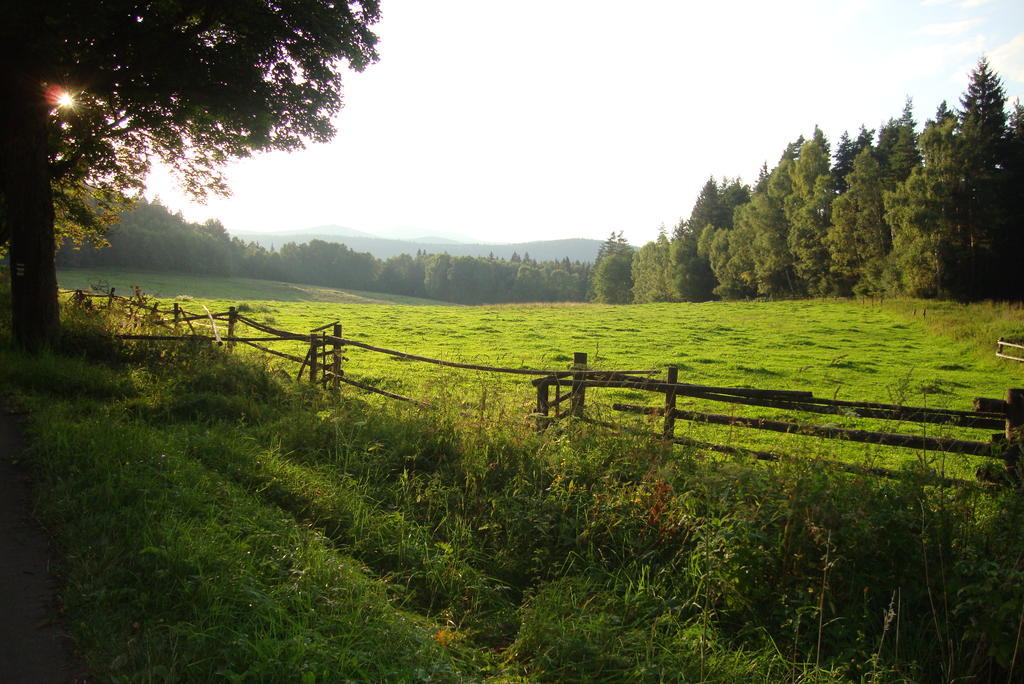 Penzion Farma Zleby Ceske Zleby Exterior foto
